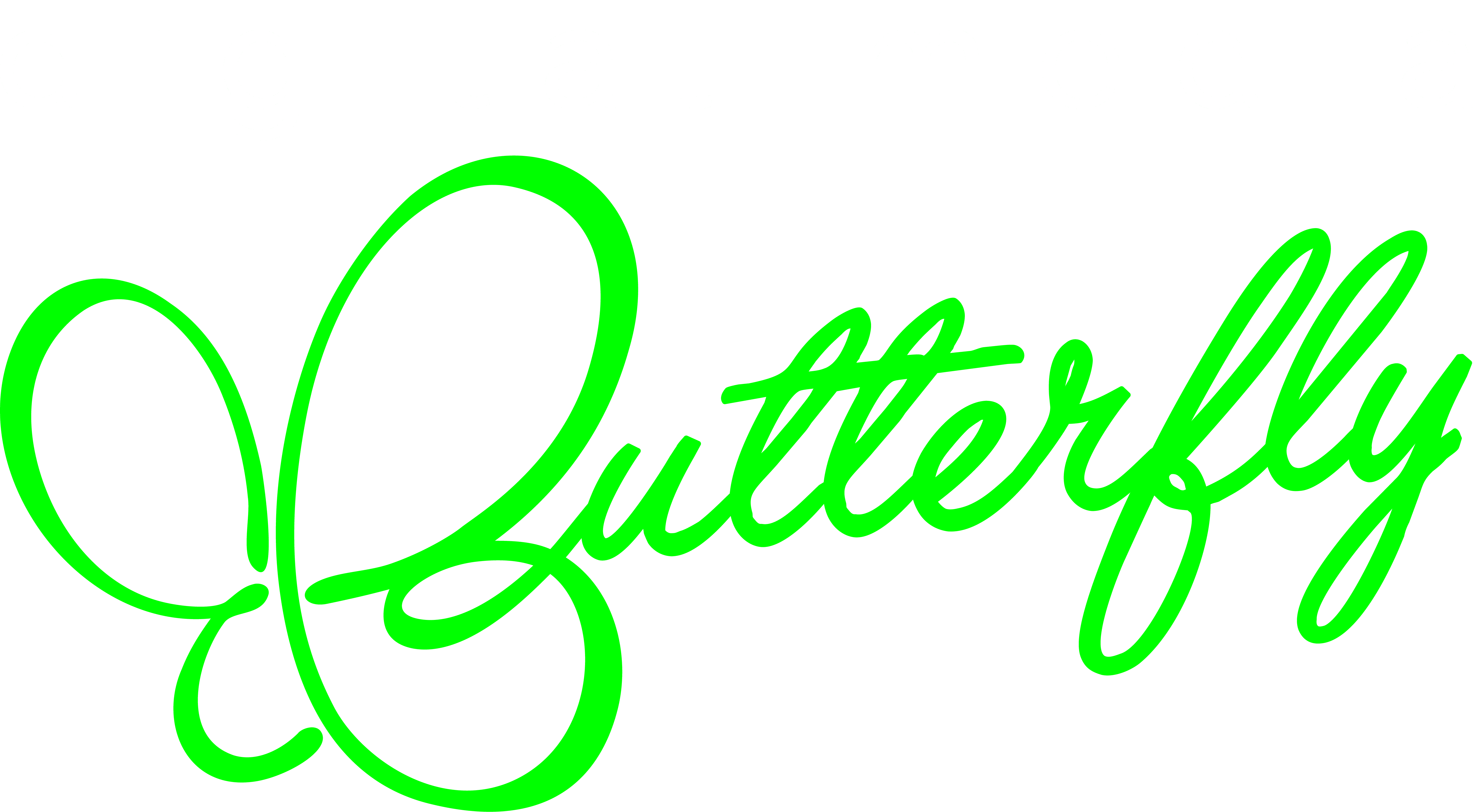 Digital Media Butterfly Logo